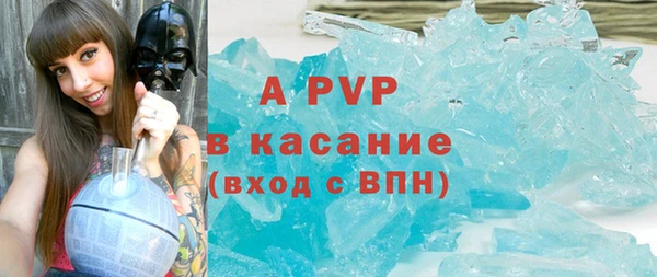 PSILOCYBIN Баксан