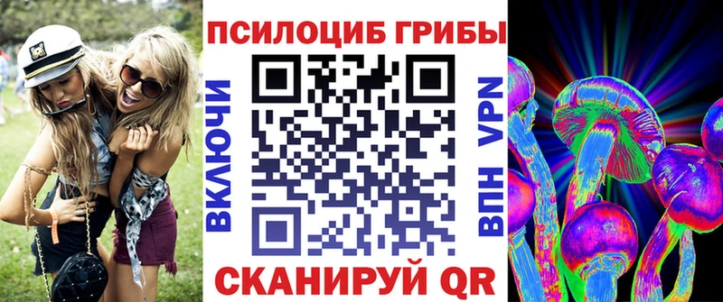 Псилоцибиновые грибы Psilocybe маркетплейс как зайти Отрадная mega зеркало